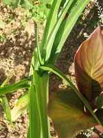 DSCF9345.webp