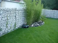 P1020718.webp