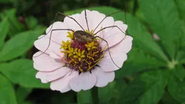 a005.webp