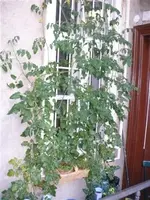 P1020720 (Small).webp