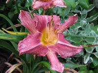 morts magic3_1067x800.webp