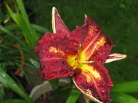 samtig2_1067x800.webp