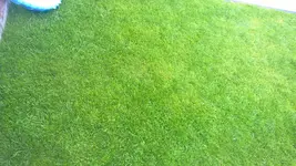 WP_20150804_12_30_58_Pro.jpg