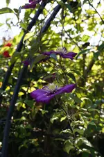 _DSC8927.webp