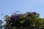_DSC8928.jpg