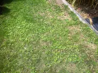 Foto 01.08.15 12 44 50.webp