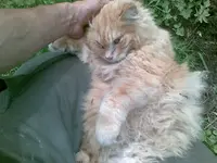 05062012.webp
