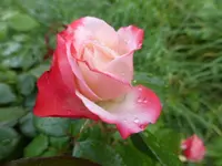 P1480841.webp P1480841.webp