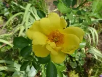 P1480911.webp P1480911.webp