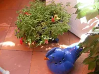 Avatar.webp