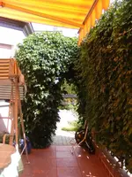 Terrasse2.webp