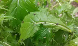20150805_144010.webp