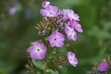 comp_DSC04330.webp