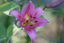 comp_DSC04343.webp