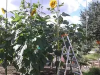 20150726_095902.webp