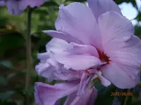 P8051026.webp
