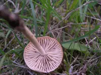 IMGP7977.webp