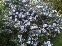 BILD4436.webp