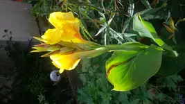 20150806_103640[1].webp