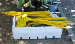 Copy of IMG_5914v.webp