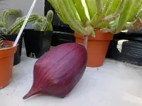 DSCF9336.webp