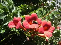BILD4390.webp