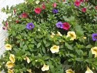 BILD4396.JPG