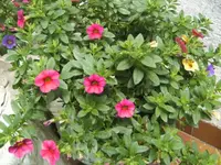 BILD4397.webp