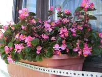 BILD4399.webp