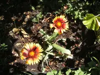 BILD4430.webp
