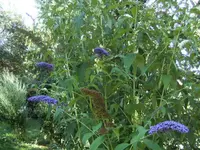 BILD4438.webp