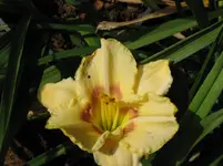 sil.ethel smith1_1067x800.webp