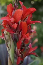 _DSC8973.webp