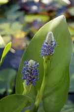 _DSC8984.webp