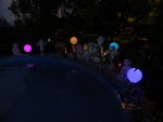 DSCF9024.jpg