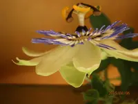 P8061037.webp