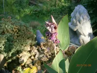 P8061041.webp