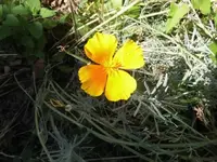 Bilda032.webp