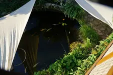 Teich v.oben (Kopie).JPG