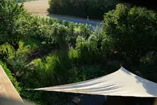 Garten.v.oben (Kopie).webp