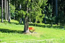 DSCF2559 (2).webp