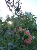 P1480969.webp P1480969.webp