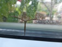 P1480932.webp