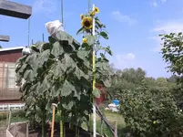 20150807_112344.webp