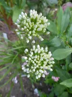 P1480021.webp