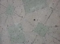 20150716_191233[1].webp