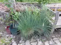 P1080100.JPG