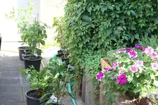 IMG_7457.jpg