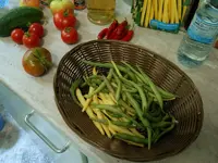 bohnen.webp