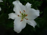 k-DSCI3735.webp
